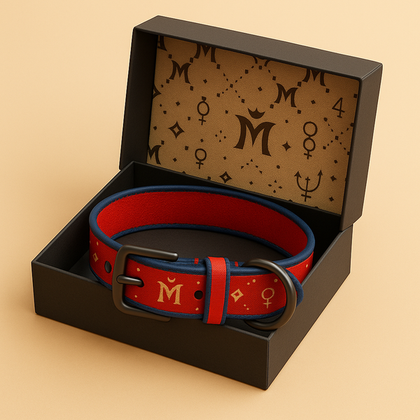 GALACTIC WALK COLLAR™
